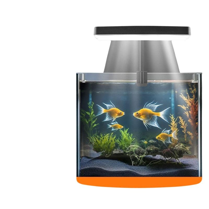 USB-Aquarium-Clipleuchte mit F – Home Office Lamp Bewertung und Preis